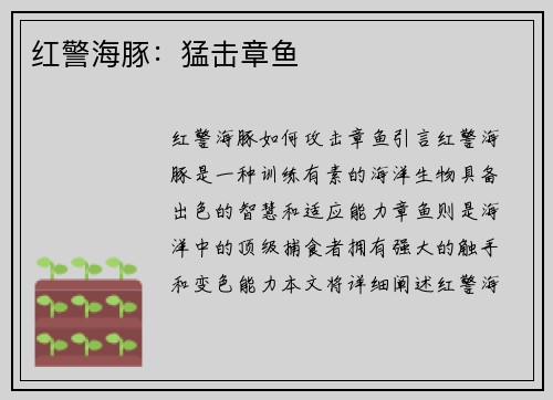 红警海豚：猛击章鱼